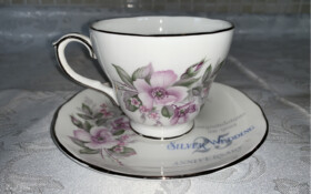 Duchess Silver Wedding Anniversary Duchess Silver Wedding Anniversary