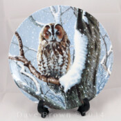 Woodland Winter Plate Collection I Spy
