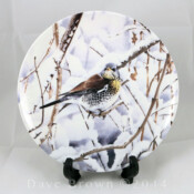 Woodland Winter Plate Collection A Watchful Eye